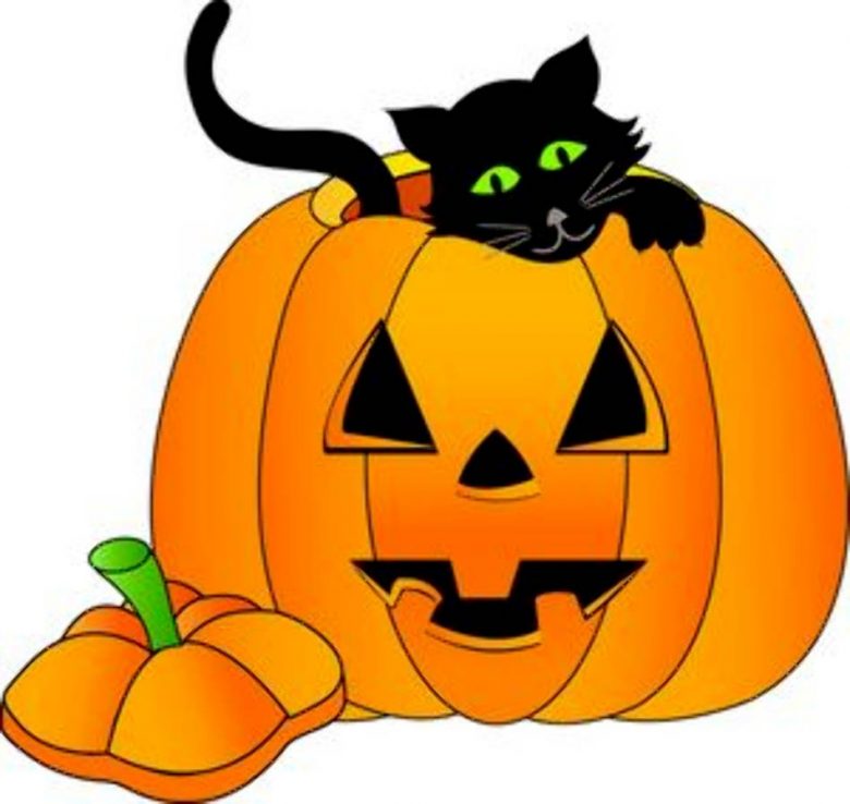 black cat and pumpkin